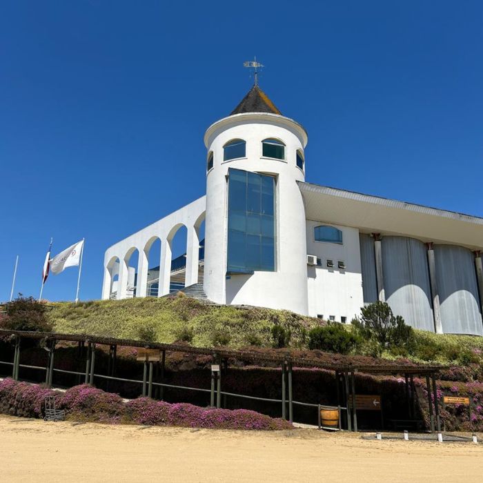 Tour 4 Vinícolas com Almoço